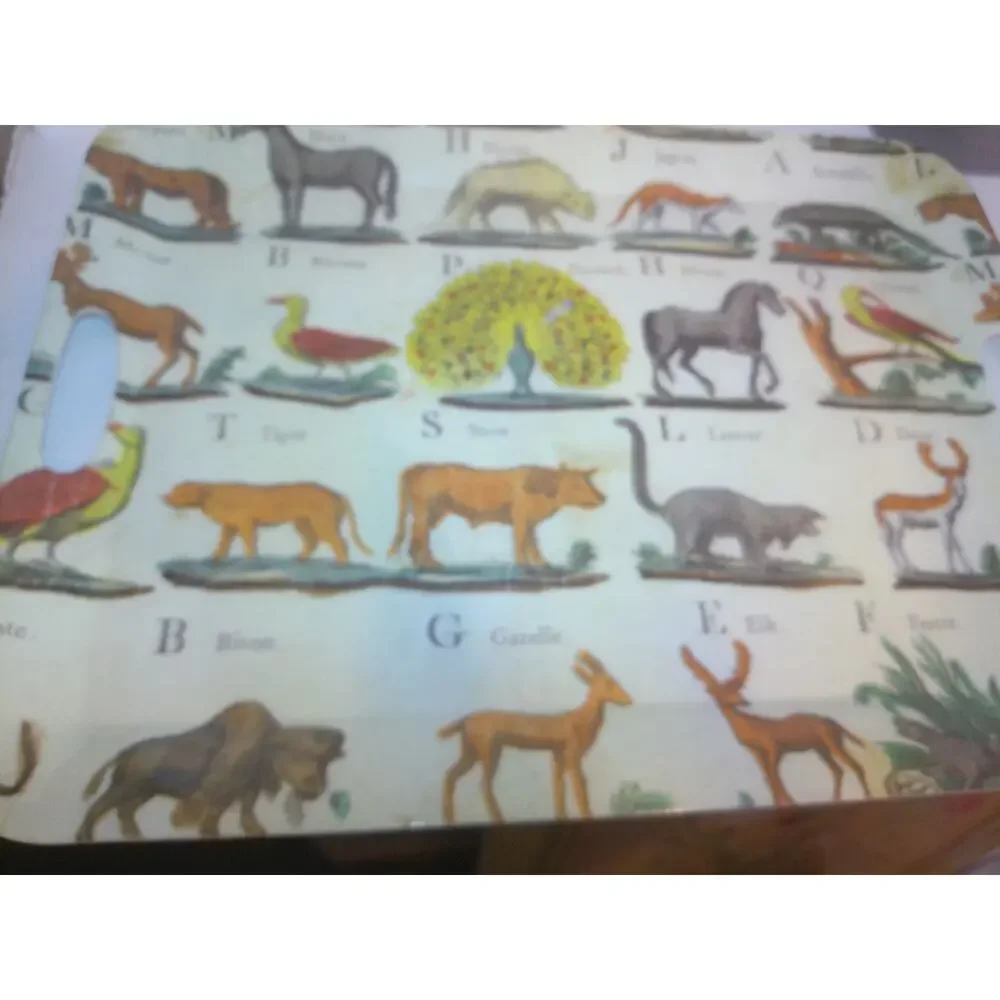 John Derian for Target Animal Alphabet Melamine Serving Tray Vintage Style Print